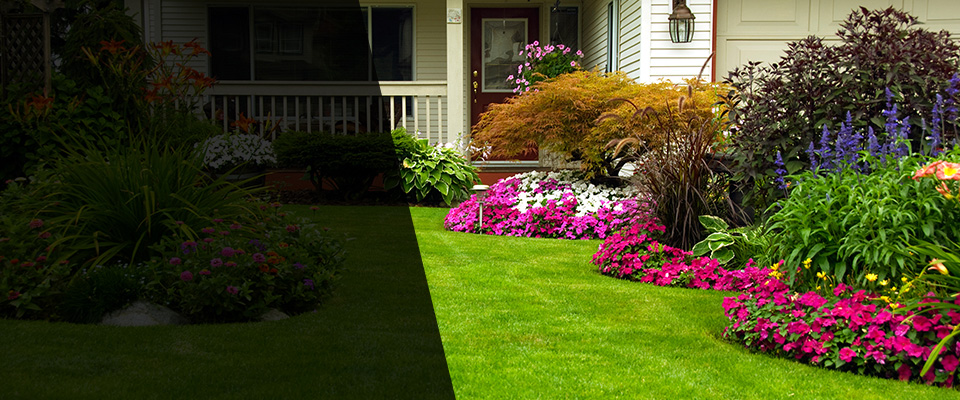 Center Valley Landscapers